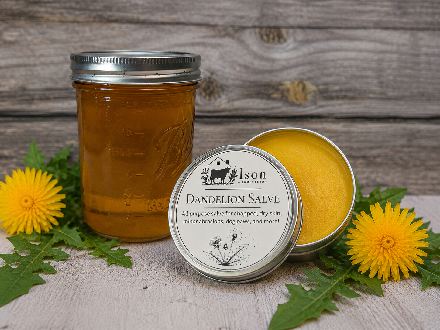 Jar of dandelion infused olive oil next to dandelion salve tin on cement with wood background