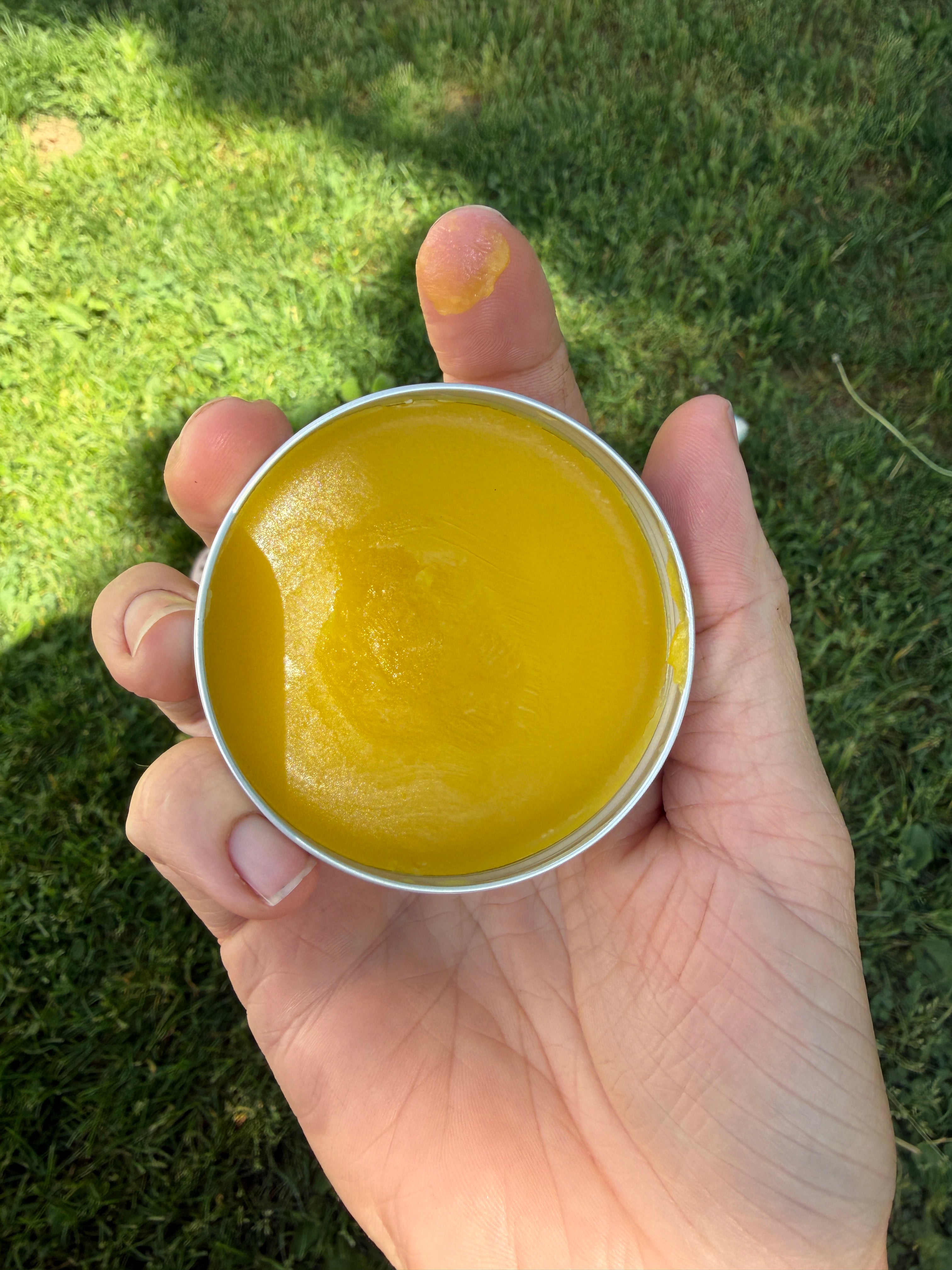 Hand holding a small metal container with dandelion salve substance against a grassy background